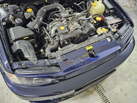 Radiator grille with eyelids v1
