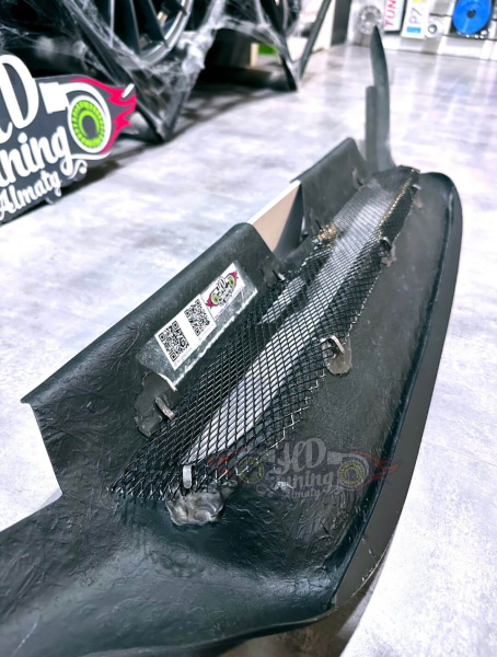 Radiator grille with eyelids v2