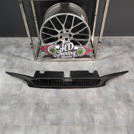 Radiator grille with eyelids v1